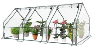 imgonline com ua resize cxtlqxrs .jpg