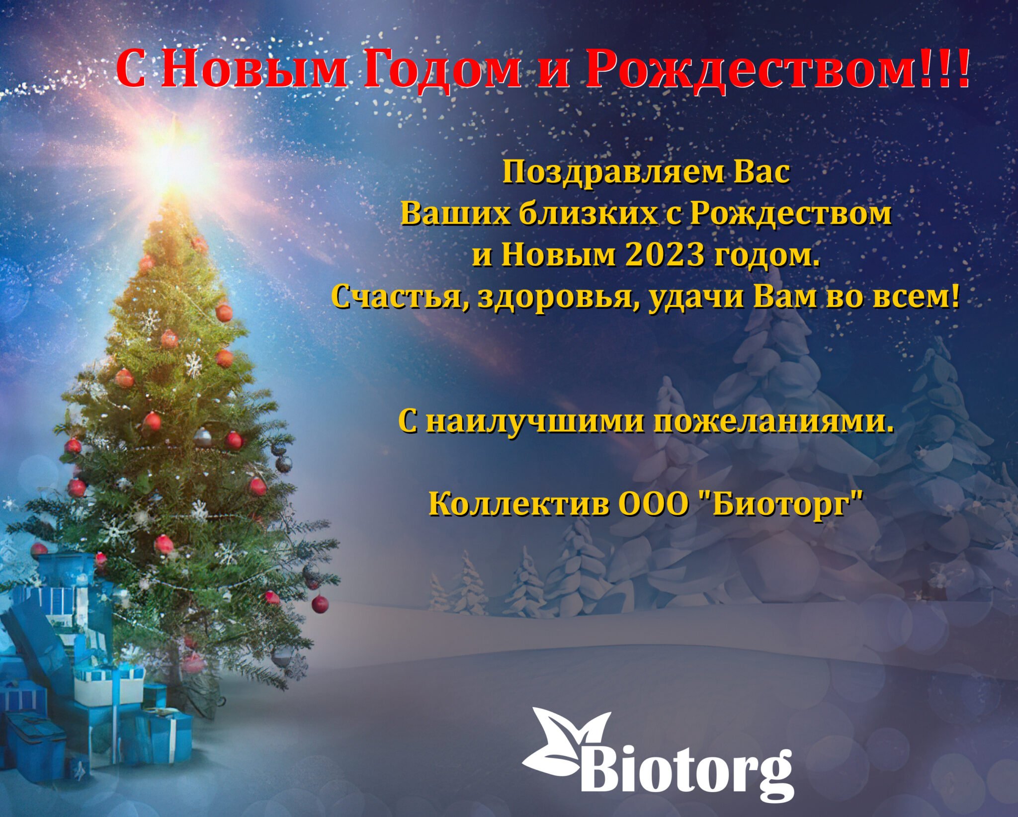 Как работают магазины в новогодние праздники 2023